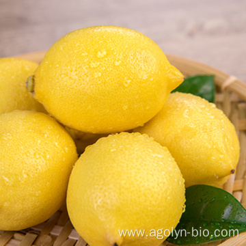 Wholesale Fresh Pure Natural Lemon For Sale